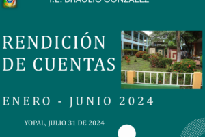 INSTITUCION EDUCATIVA BRAULIO GONZALEZ INFORME DE CONTRATACION VIGENCIA ...